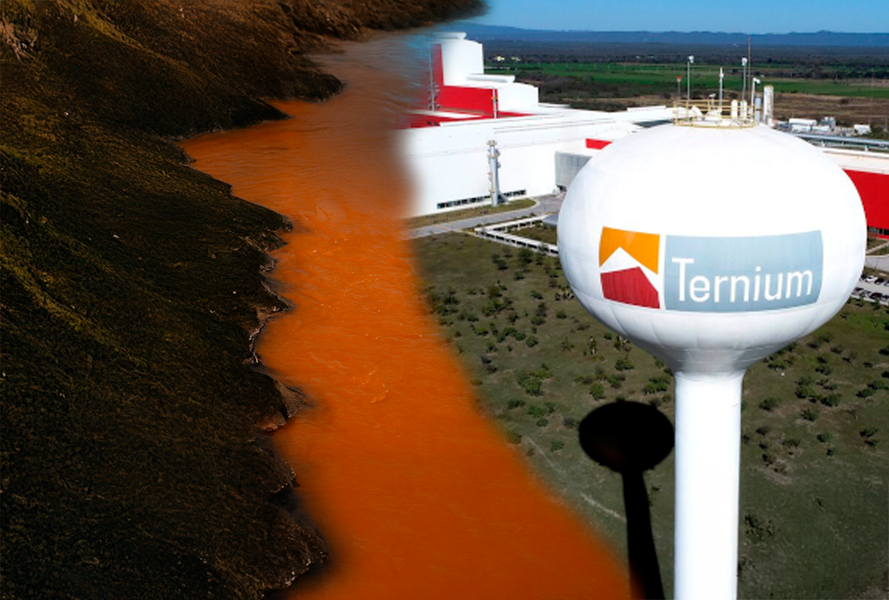 The Ternium Case: A Wake-Up Call.