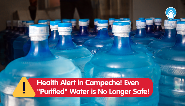 Health Alert in Campeche! Even "Purified" Water is No Longer Safe!