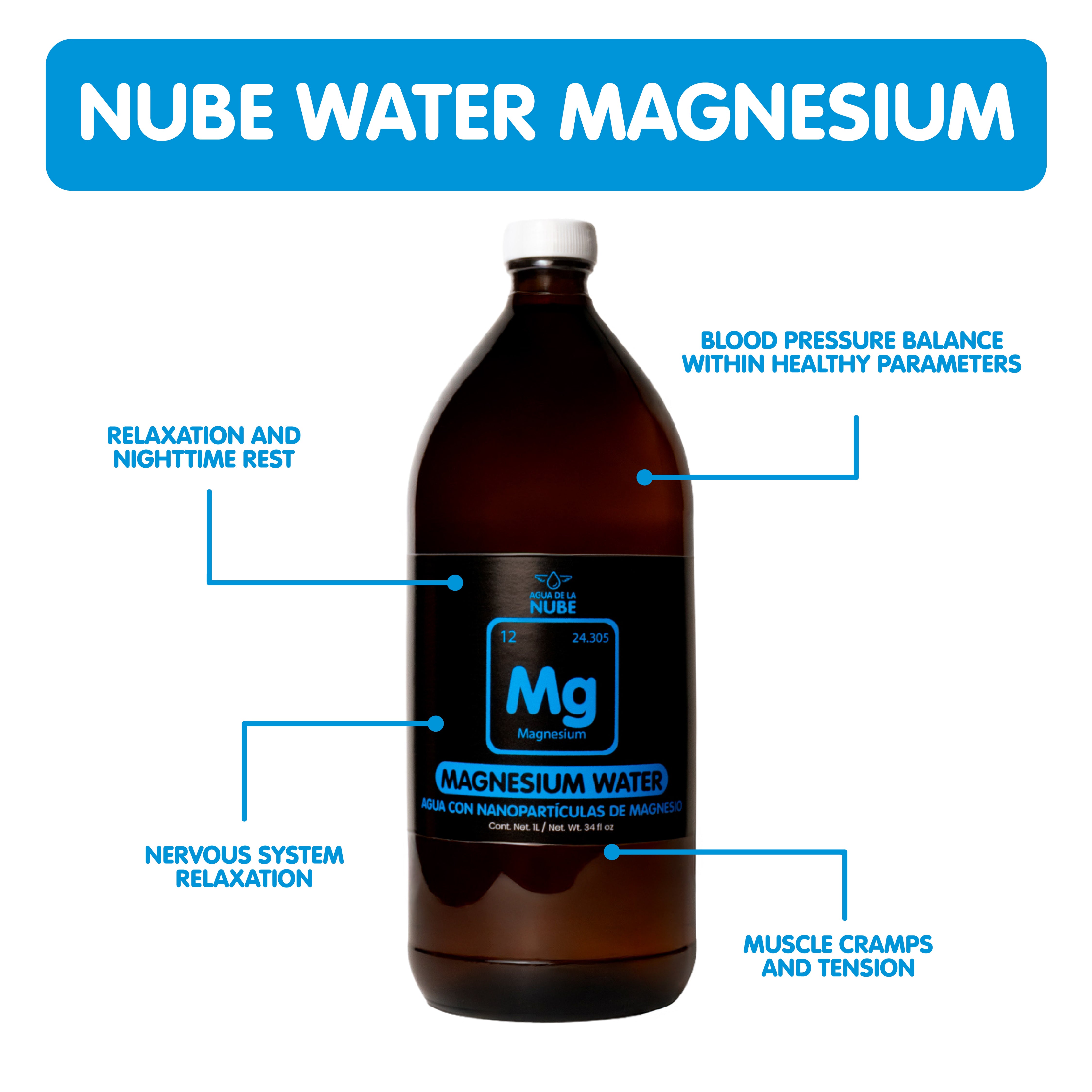 Air Magnesium - Makanan super darah Anda. (25 ons/40 ppm) (750 mL/40 ppm)